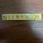 昆虫イラスト付き30cm金色定規